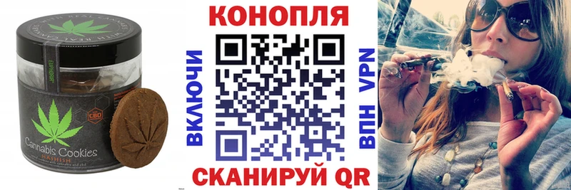 MEGA ссылки  сколько стоит  Анива  Cannafood конопля 