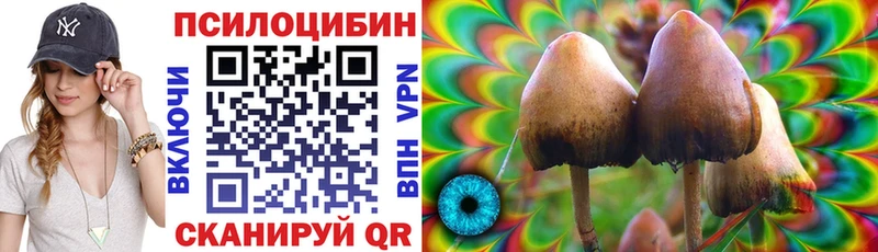 гидра онион  даркнет сайт  Анива  Галлюциногенные грибы MAGIC MUSHROOMS 